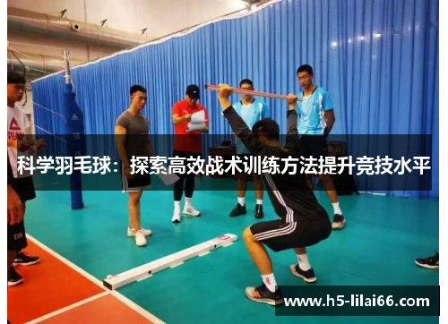 科学羽毛球：探索高效战术训练方法提升竞技水平