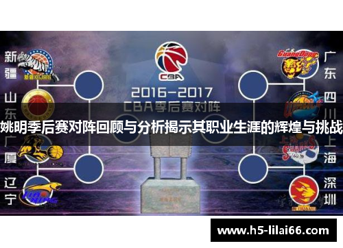 姚明季后赛对阵回顾与分析揭示其职业生涯的辉煌与挑战